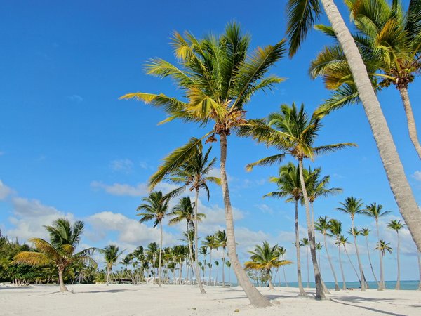 Guide complet sur les coûts d'acquisition immobilière en espagne